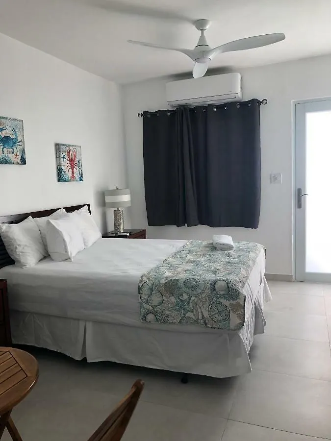 Hotel Amapola Beachfront Studio San Juan Apartment